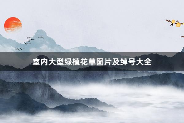 室内大型绿植花草图片及绰号大全
