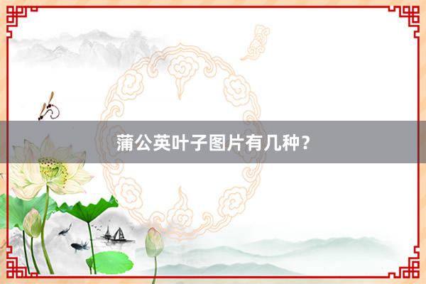 蒲公英叶子图片有几种？