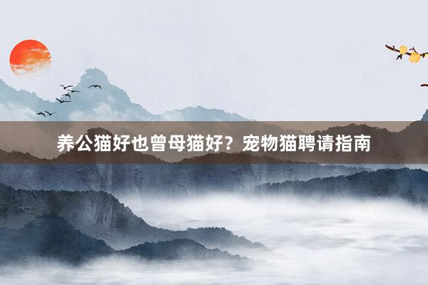 养公猫好也曾母猫好？宠物猫聘请指南