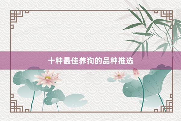 十种最佳养狗的品种推选