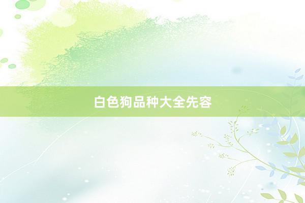白色狗品种大全先容