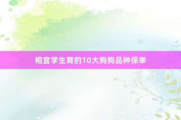 相宜学生育的10大狗狗品种保举